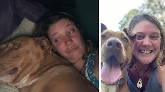 Woman wakes up next to strange dog in bed Woman wakes up next to strange dog in bed