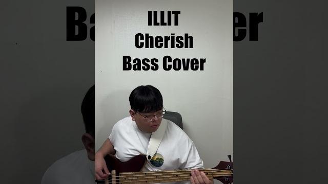 Illit cherish bass cover Illit cherish bass cover