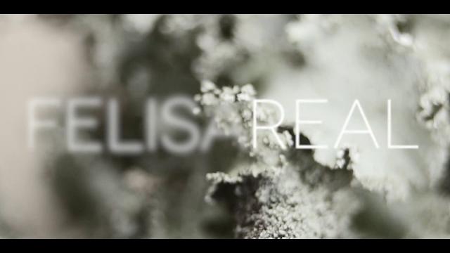 Felisa – real (videoclip) Felisa – real (videoclip)