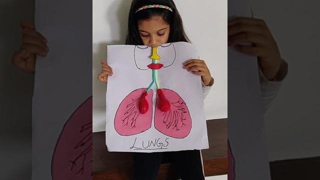 Prish shah grade 2 project lungs,,, Prish shah grade 2 project lungs,,,