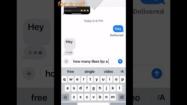 #get old #song #kitten #kitty #trinity #blowup #helpmegettoonek #onek #helpmetogettoonekforakitty #get old #song #kitten #kitty #trinity #blowup #helpmegettoonek #onek #helpmetogettoonekforakitty