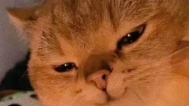 Rotina da noite comigo Rotina da noite comigo