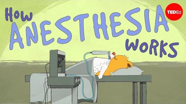 How does anesthesia work? - steven zheng How does anesthesia work? - steven zheng