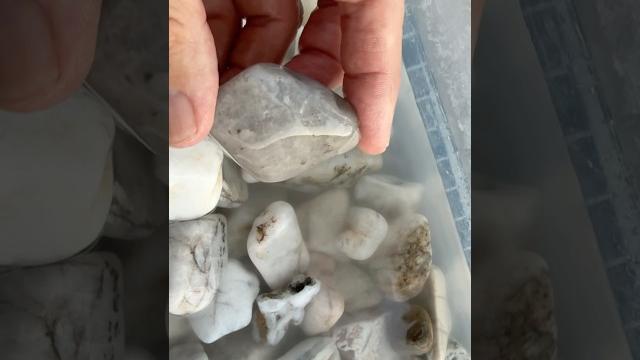 #big #bobs #positivevibes #crystals #moonstone #milky #red #rose #quartz #healing #arthritisrelief #big #bobs #positivevibes #crystals #moonstone #milky #red #rose #quartz #healing #arthritisrelief