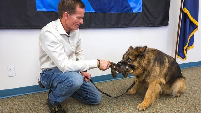 Drug-sniffing k9 trooper retires Drug-sniffing k9 trooper retires