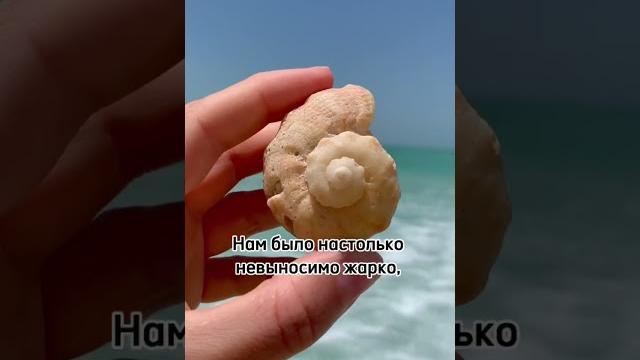 Чилля. узбекистан Чилля. узбекистан