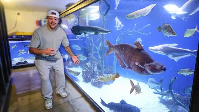 Visiting the largest fish collection ever!! Visiting the largest fish collection ever!!