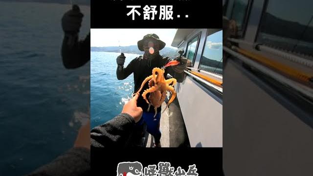 觸手play!這真的不舒服 #shorts #觸手 #船釣 觸手play!這真的不舒服 #shorts #觸手 #船釣
