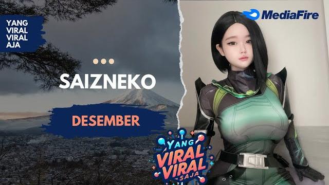 Saizneko - desember Saizneko - desember