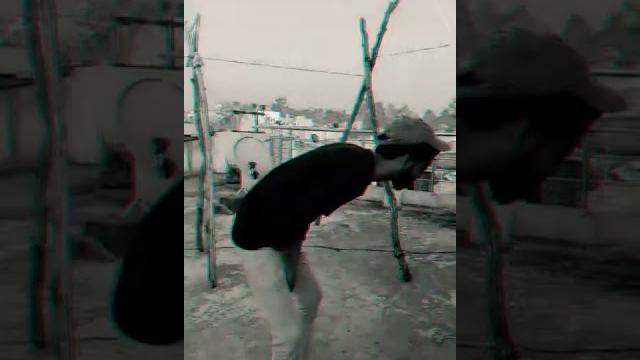 #short video gully boys vk #short video gully boys vk