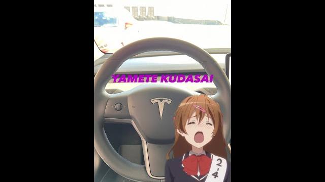 Yamete kudasai ahh tesla horn!! #shorts #tesla Yamete kudasai ahh tesla horn!! #shorts #tesla