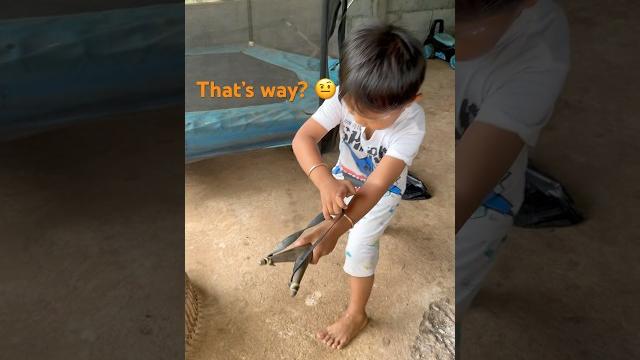 Survival skill: titi try to shooting chickens #survivalskills #explore #chicken #shorts #bushcraft Survival skill: titi try to shooting chickens #survivalskills #explore #chicken #shorts #bushcraft