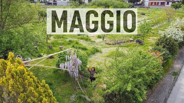 Orto a maggio. tour al bosco di ogigia Orto a maggio. tour al bosco di ogigia