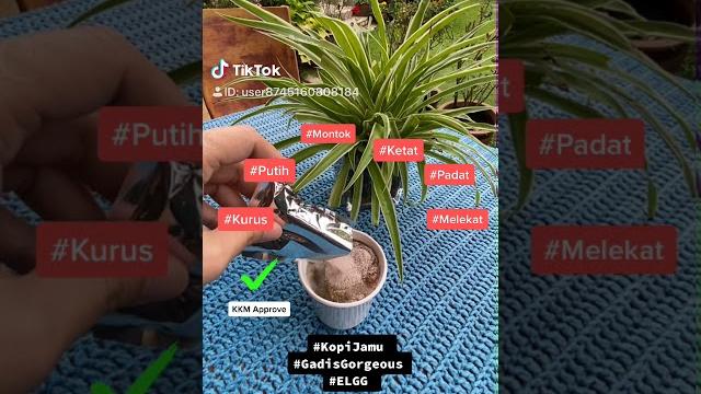 Kopi kurus paling best Kopi kurus paling best