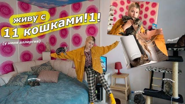 Румтур с 11 кошками Румтур с 11 кошками