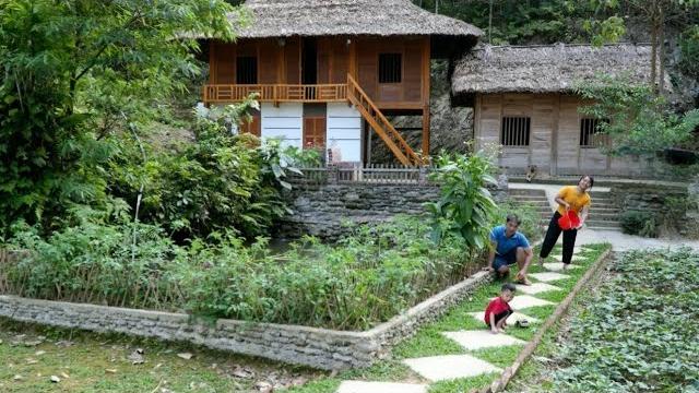 Full video: 45 days of building a farm life, living in harmony with nature, forest life Full video: 45 days of building a farm life, living in harmony with nature, forest life