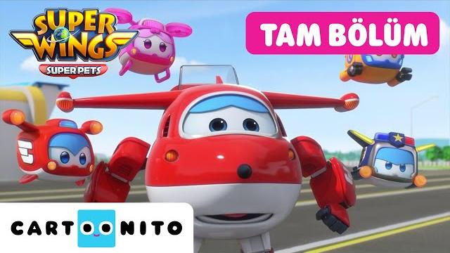 Hari̇ka kanatlar | harika minik temizlik sürprizi | cartoonito tam bölüm | @cartoonitoturkiye Hari̇ka kanatlar | harika minik temizlik sürprizi | cartoonito tam bölüm | @cartoonitoturkiye
