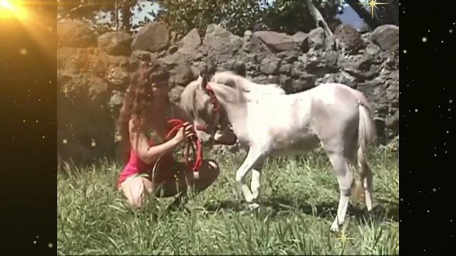Ponylover-2 Ponylover-2