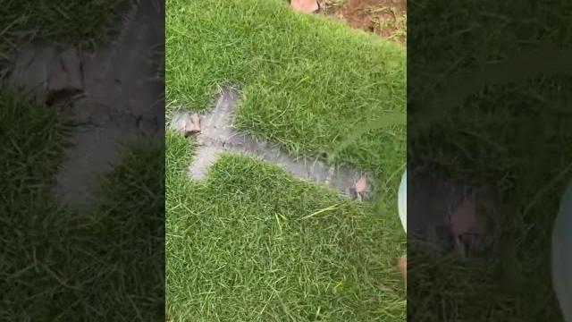 Siapa yg pernah liat kuburan ditimpa? #shorts #shortvideo #viral Siapa yg pernah liat kuburan ditimpa? #shorts #shortvideo #viral