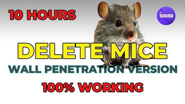 Mouse repellent noise - wall penetration version (no mid-roll ads.) | ultrasonic rat repellent sound Mouse repellent noise - wall penetration version (no mid-roll ads.) | ultrasonic rat repellent sound