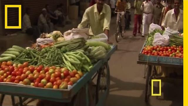 Diwali - festival of lights | national geographic Diwali - festival of lights | national geographic