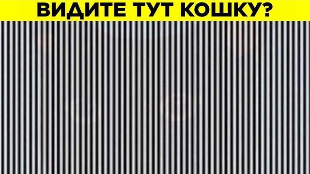 Проверьте своё зрение с этими тестами Проверьте своё зрение с этими тестами