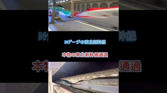 【比較!】東北新幹線実車とnゲージ 【比較!】東北新幹線実車とnゲージ