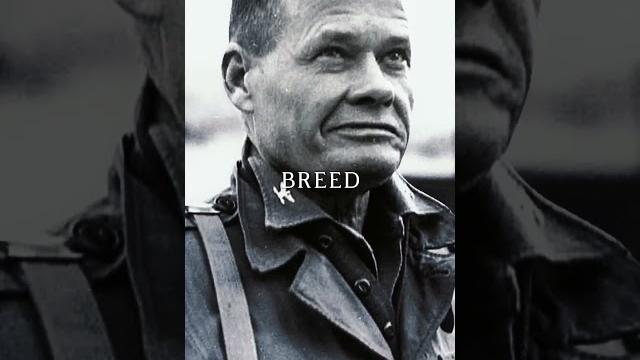 Goodnight, chesty... wherever you are Goodnight, chesty... wherever you are