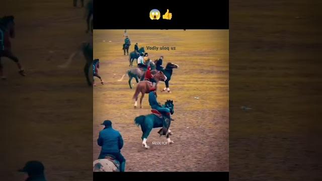 #ozbek #namangan #horse #automobile #equestrian #rek #fargana #fergana #horseriding #stallion#rek #ozbek #namangan #horse #automobile #equestrian #rek #fargana #fergana #horseriding #stallion#rek