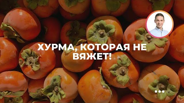 Хурма, которая не вяжет! что такое королёк и как испанцы продают нам неспелую, но сладкую хурму? Хурма, которая не вяжет! что такое королёк и как испанцы продают нам неспелую, но сладкую хурму?