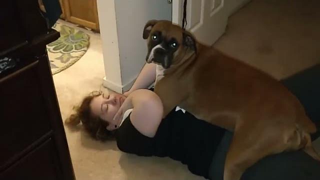 Woman viciously mauled by boxer dog! Woman viciously mauled by boxer dog!