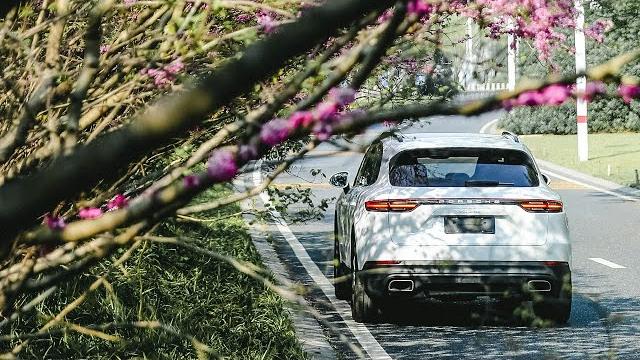 栗子的vlog丨试驾第三代porsche cayenne 3.0t 栗子的vlog丨试驾第三代porsche cayenne 3.0t