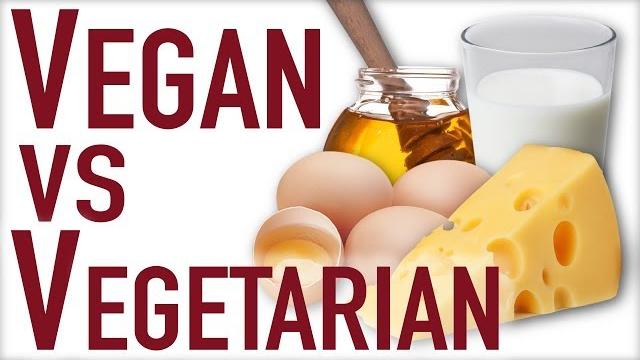 Vegan vs vegetarian ft. gary yourofsky Vegan vs vegetarian ft. gary yourofsky