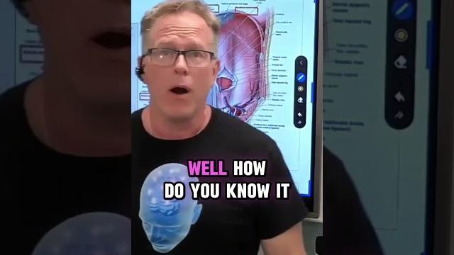 The navel and inflammation The navel and inflammation