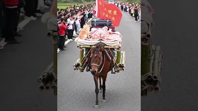骑马去旅行低碳出行 骑马去旅行低碳出行