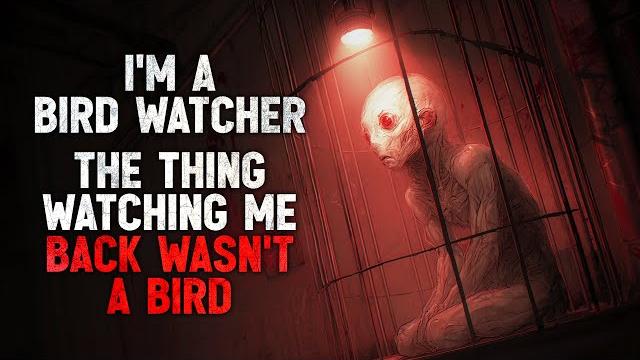 "i’m a bird watcher. but the thing watching me back in the trees wasn’t a bird." creepypasta "i’m a bird watcher. but the thing watching me back in the trees wasn’t a bird." creepypasta