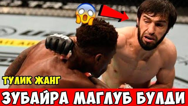 Зубайра тухугов ва хаким довуду тулиқ жанг! Зубайра тухугов ва хаким довуду тулиқ жанг!