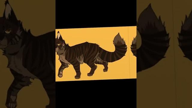 Ежевика️/коты-воители/ Ежевика️/коты-воители/