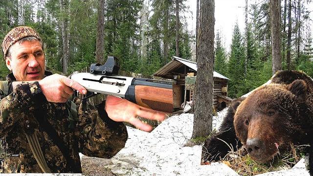 Медведь пришёл к избе. охота на медведя. Медведь пришёл к избе. охота на медведя.