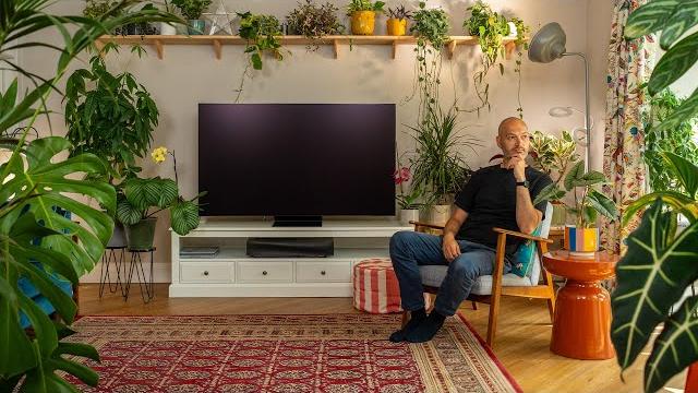 Inside an indoor plant oasis | full tour Inside an indoor plant oasis | full tour