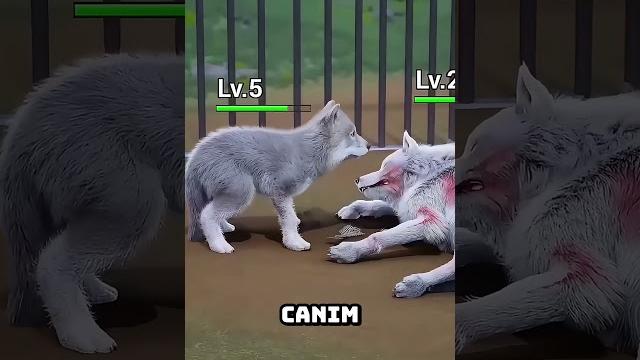 Yavru köpek annesini kurtarmaya çalışıyor! ️ Yavru köpek annesini kurtarmaya çalışıyor! ️
