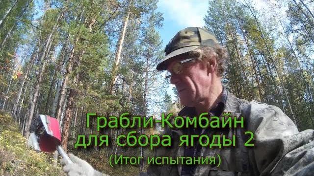 Грабли-комбайн для сбора ягоды 2 (итог испытания) Грабли-комбайн для сбора ягоды 2 (итог испытания)