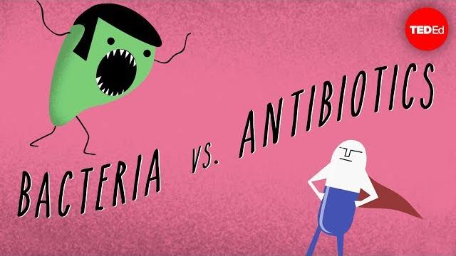 What causes antibiotic resistance? - kevin wu What causes antibiotic resistance? - kevin wu