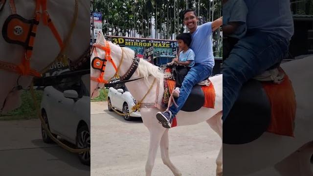 Duldul chala ri hei real ghoda Duldul chala ri hei real ghoda