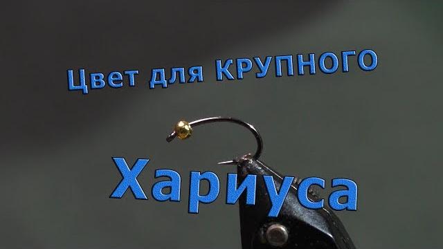 Сибирская нимфа для крупного хариуса. новая камера Сибирская нимфа для крупного хариуса. новая камера