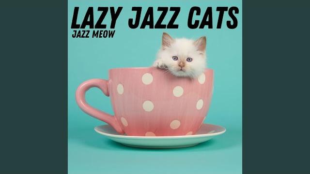 Jazz jazz meow Jazz jazz meow