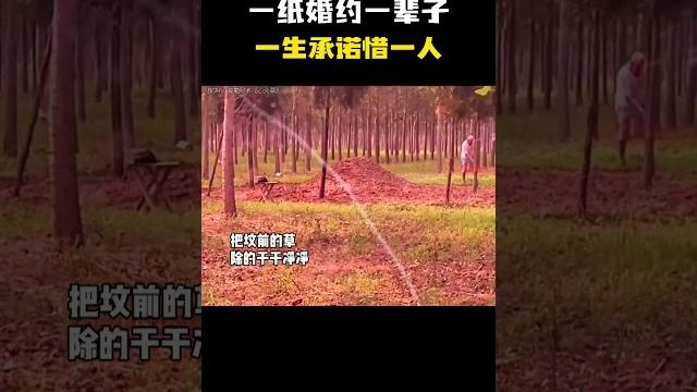 一纸婚约一辈子,一生承诺惜一人! 一纸婚约一辈子,一生承诺惜一人!