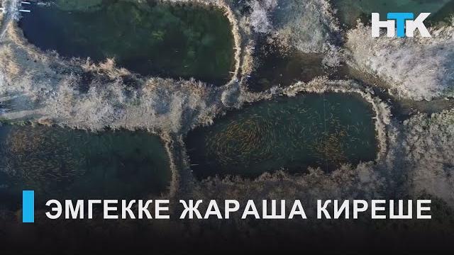 Утрк нарын:эмгекке жараша киреше Утрк нарын:эмгекке жараша киреше