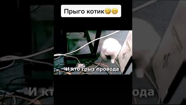 Пародия на"пчеловод" Пародия на"пчеловод"
