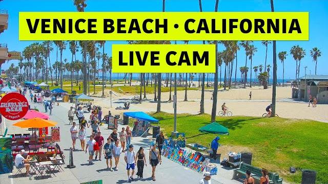 Venice v hotel live · venice beach live camera · los angeles live stream · california webcam *2205 Venice v hotel live · venice beach live camera · los angeles live stream · california webcam *2205